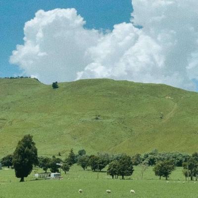 新澳门六开彩资料大全